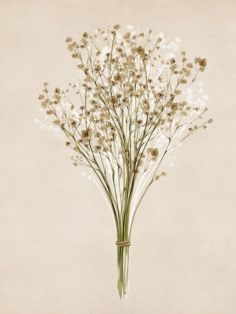 Vintage Dried Bunch III art print by Isabelle Z for $57.95 CAD