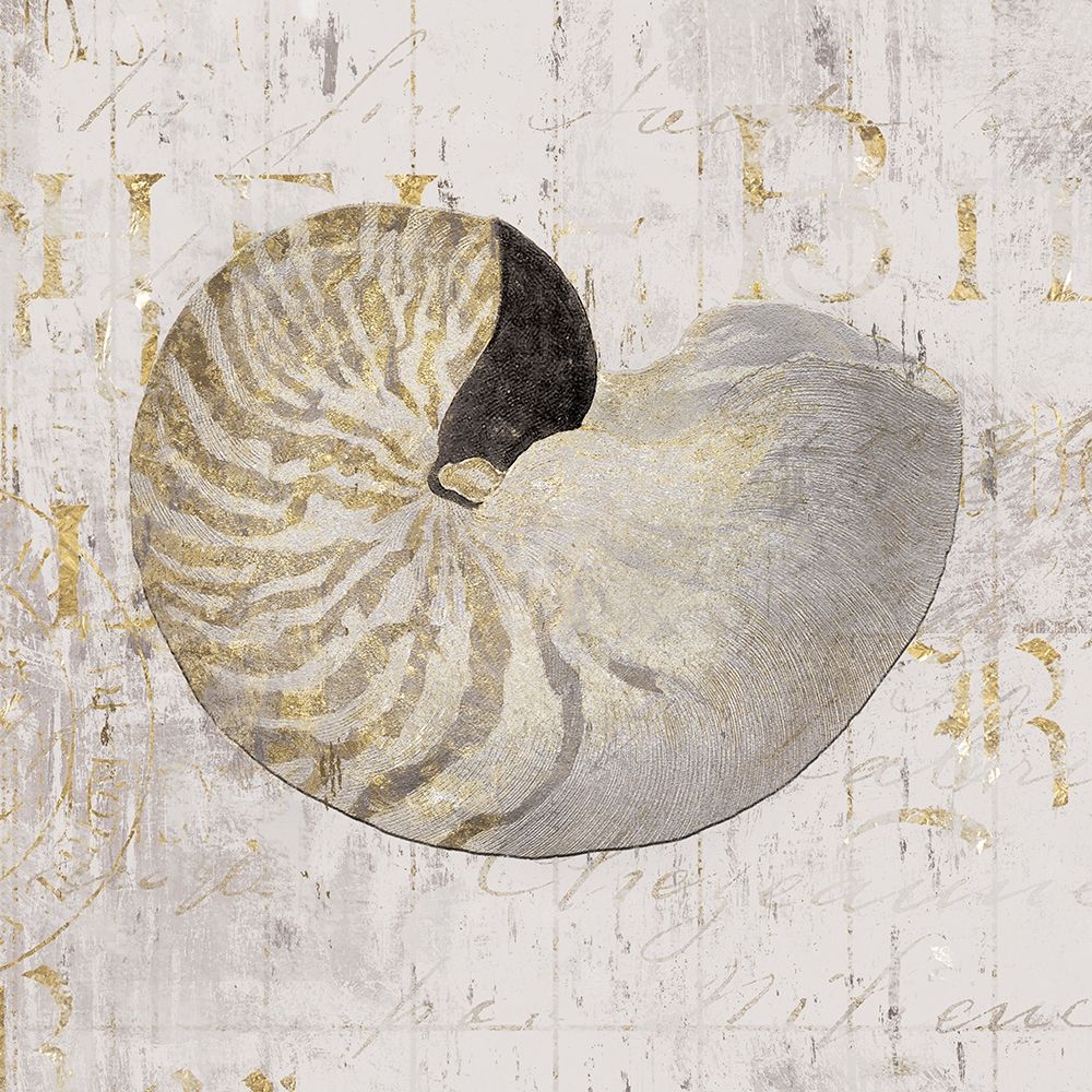 Golden Vintage Shell II art print by Farida Zaman for $57.95 CAD