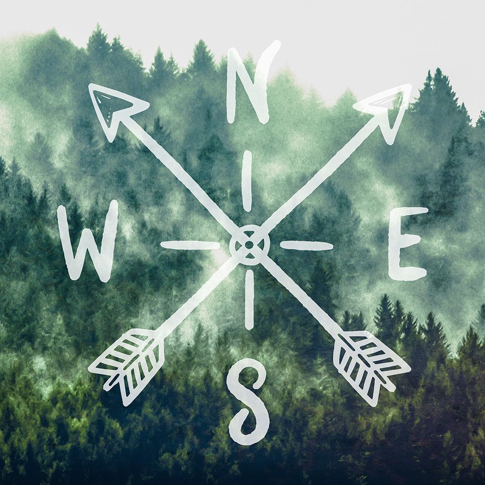 Compass Adventure Vintage Woods art print by Nature Magick for $57.95 CAD