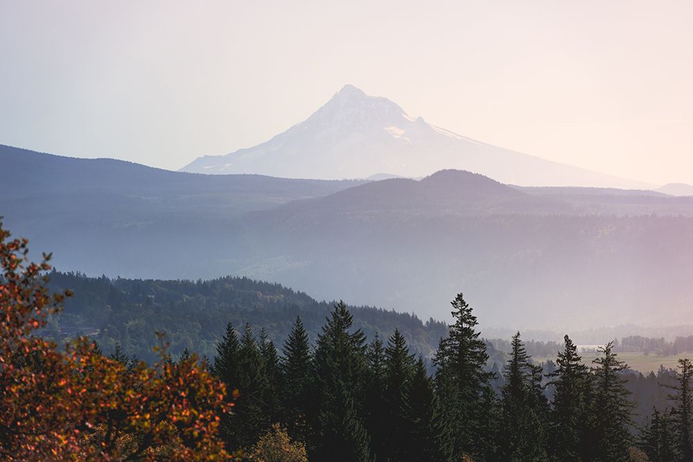 Mount Hood Morning art print by Nature Magick for $57.95 CAD