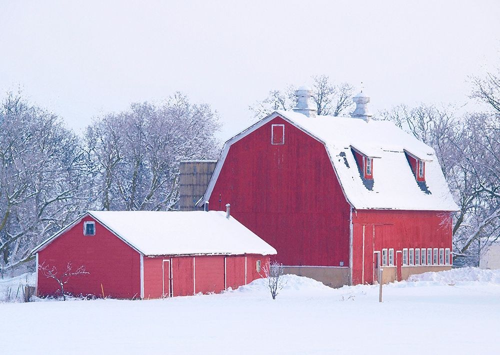 Winter Red Barn  art print by Gerry Wilson for $57.95 CAD