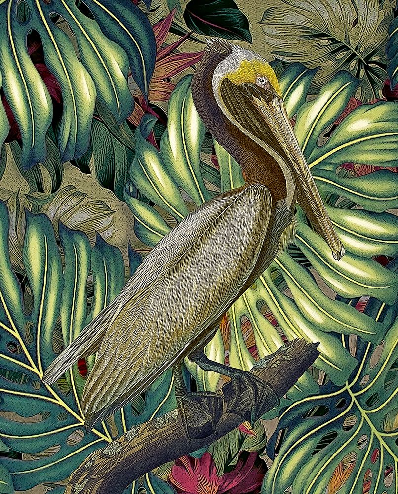 Jungled Pelican art print by Steve Hunziker for $57.95 CAD