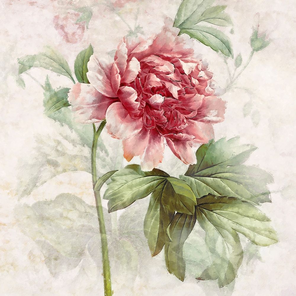 Ruby Floral I  art print by Steve Hunziker for $57.95 CAD