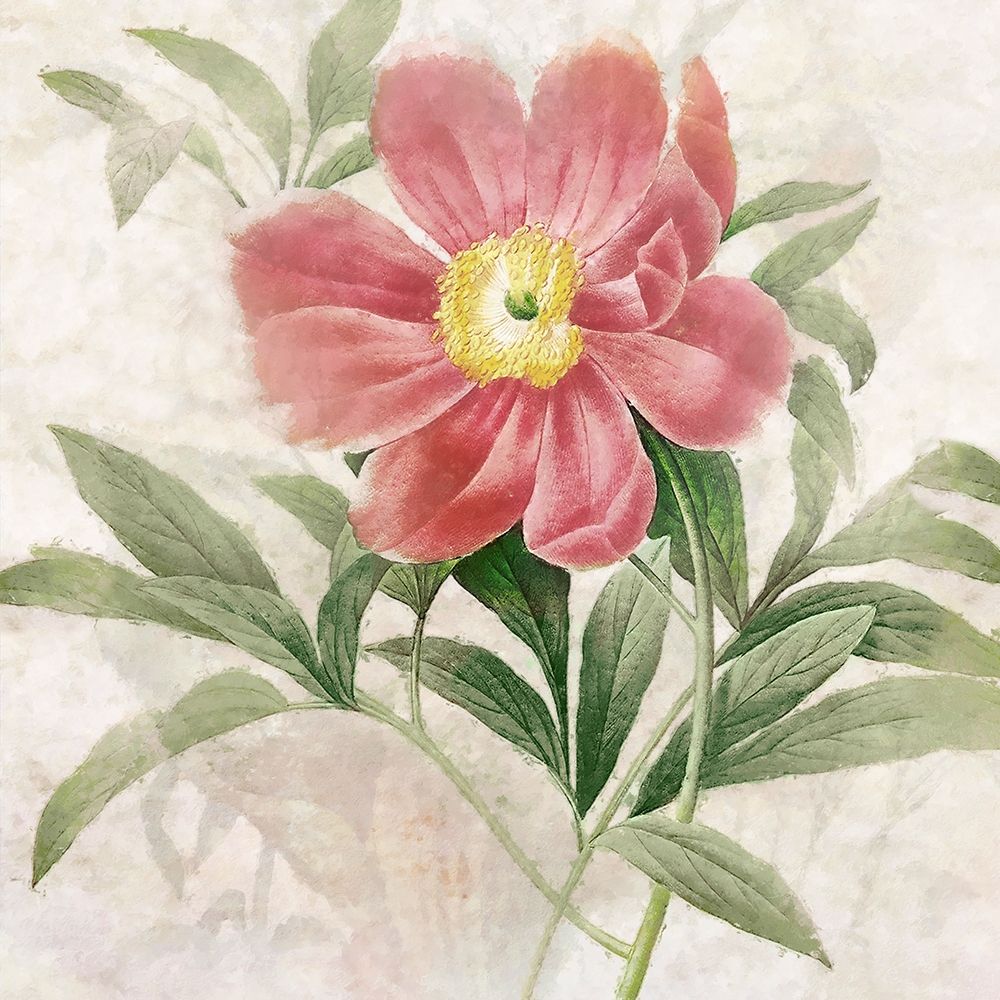 Ruby Floral II art print by Steve Hunziker for $57.95 CAD