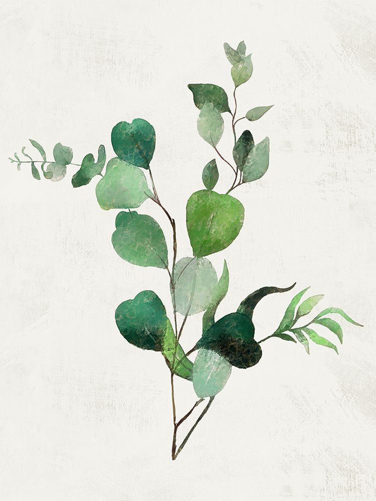 Acacia Branch I art print by Karen Smith for $57.95 CAD