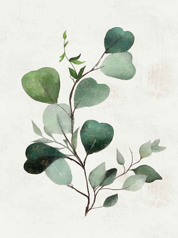 Acacia Branch II art print by Karen Smith for $57.95 CAD