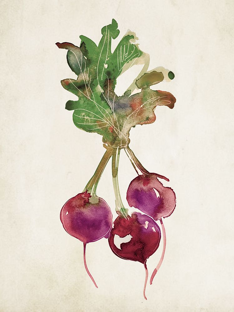 Radishes art print by Rich Lo for $57.95 CAD