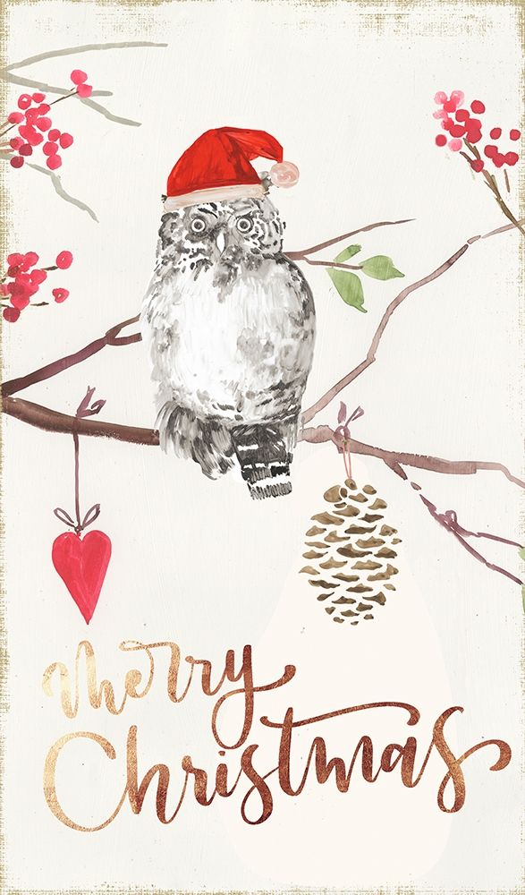 Christmas Owl I art print by PI Studio for $57.95 CAD