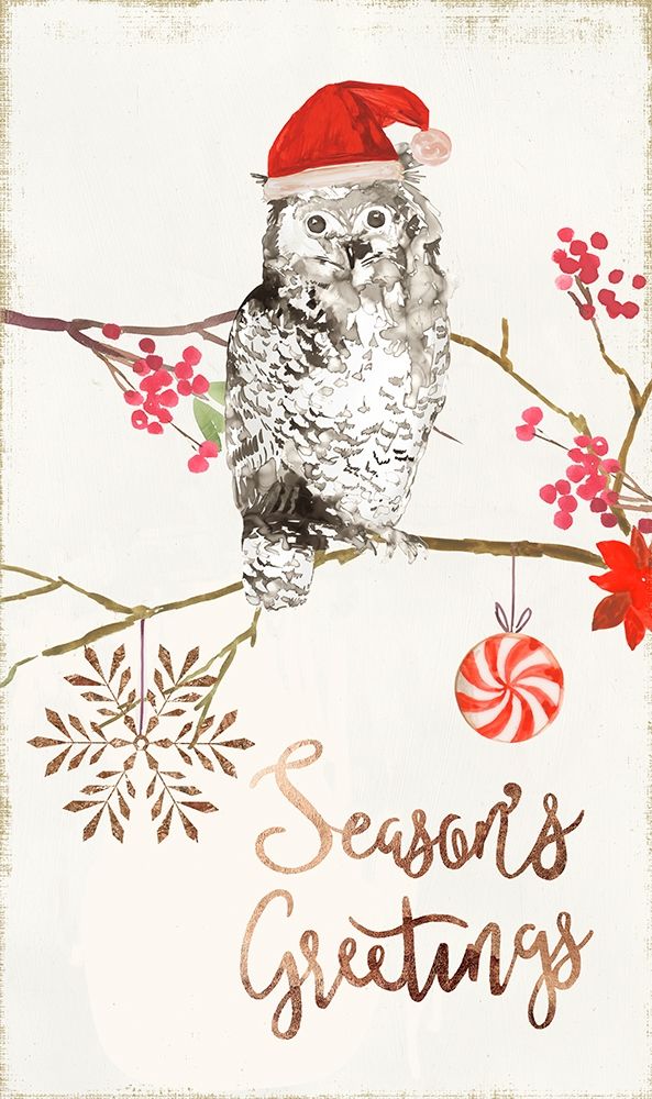 Christmas Owl II art print by PI Studio for $57.95 CAD