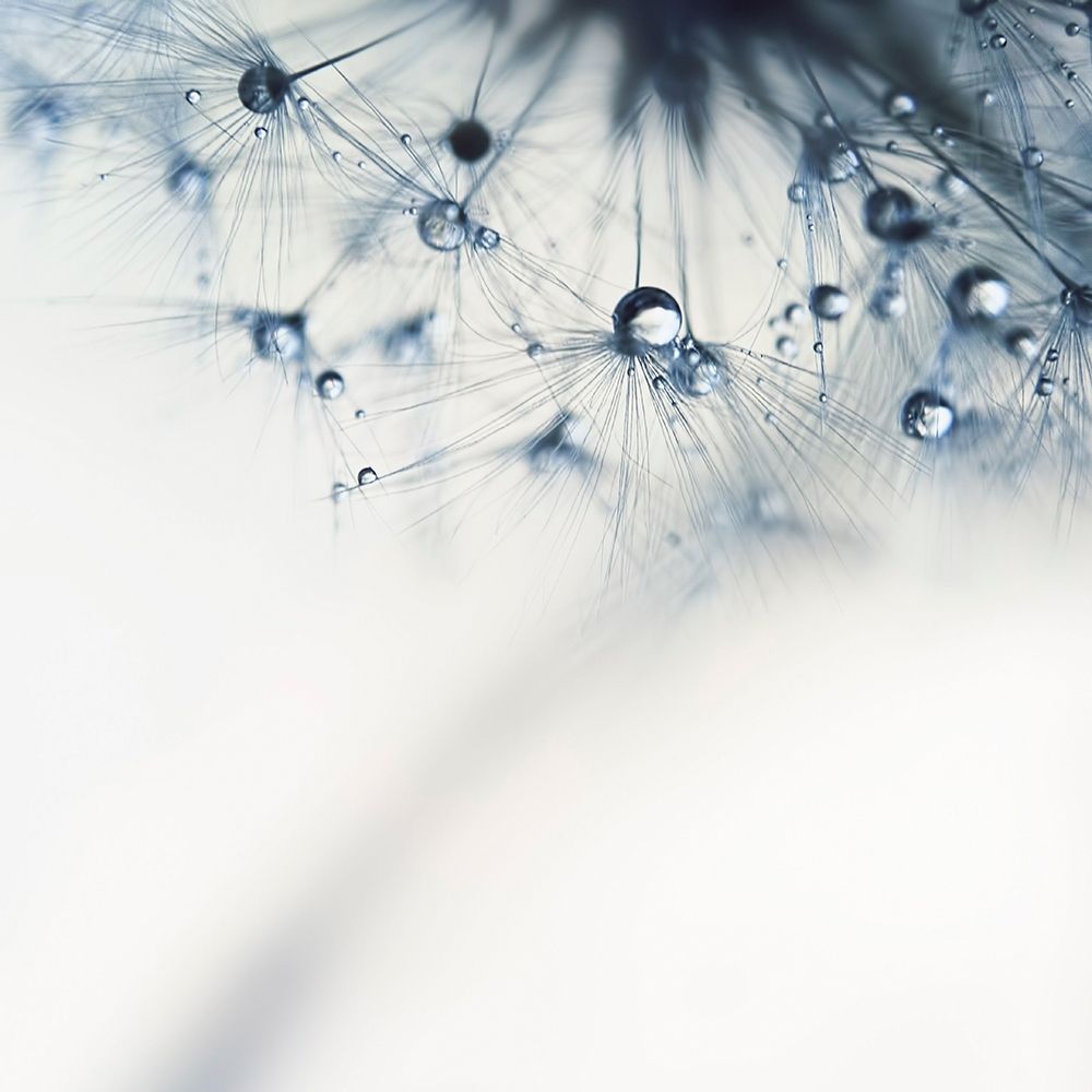 Indigo art print by Ingrid Beddoes for $57.95 CAD