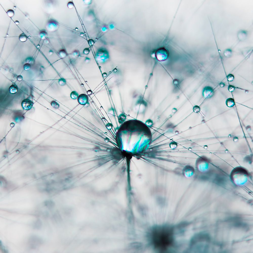 Droplets of Teal art print by Ingrid Beddoes for $57.95 CAD