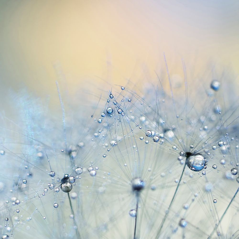 Ice blue art print by Ingrid Beddoes for $57.95 CAD