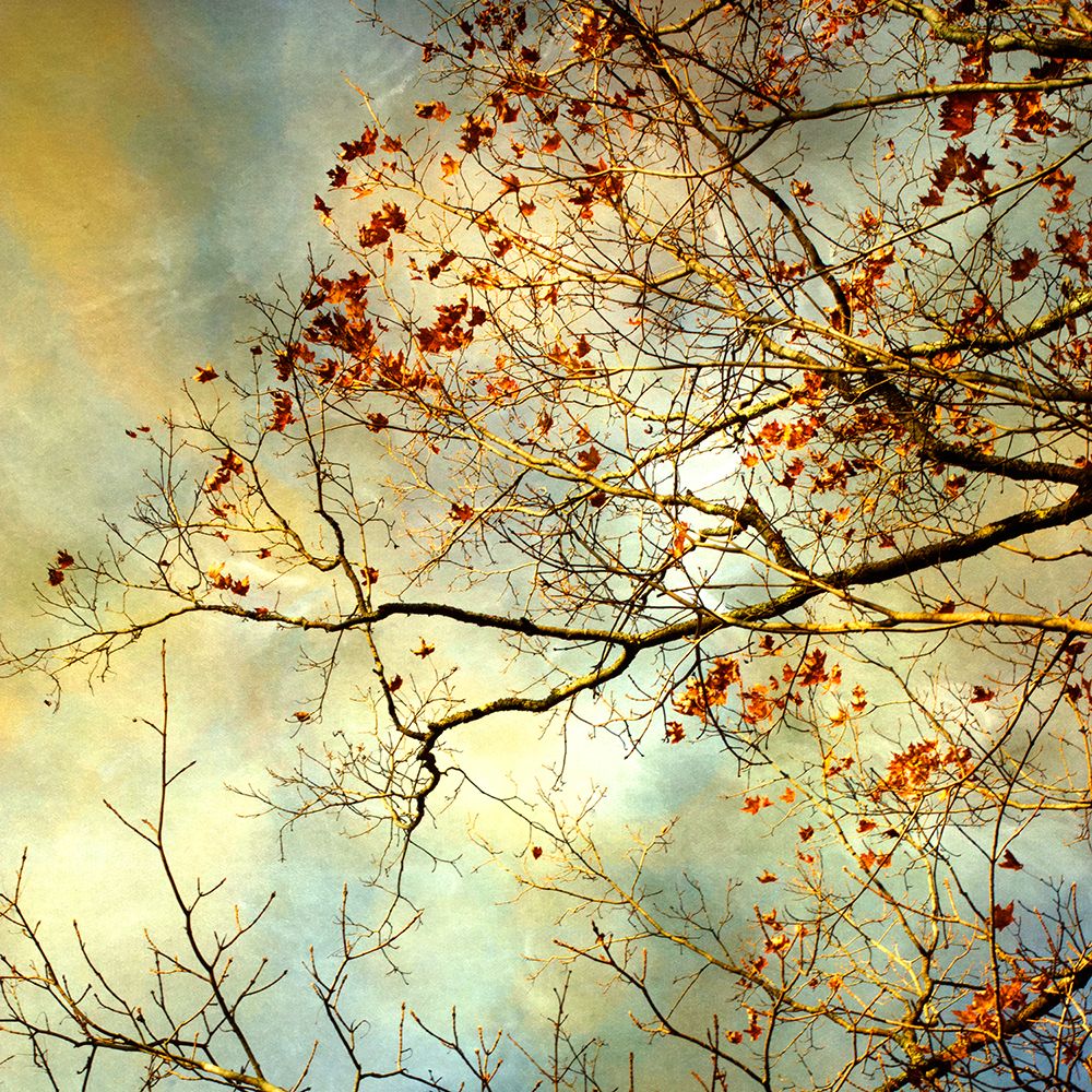 Storm Clouds I art print by Judy Stalus for $57.95 CAD