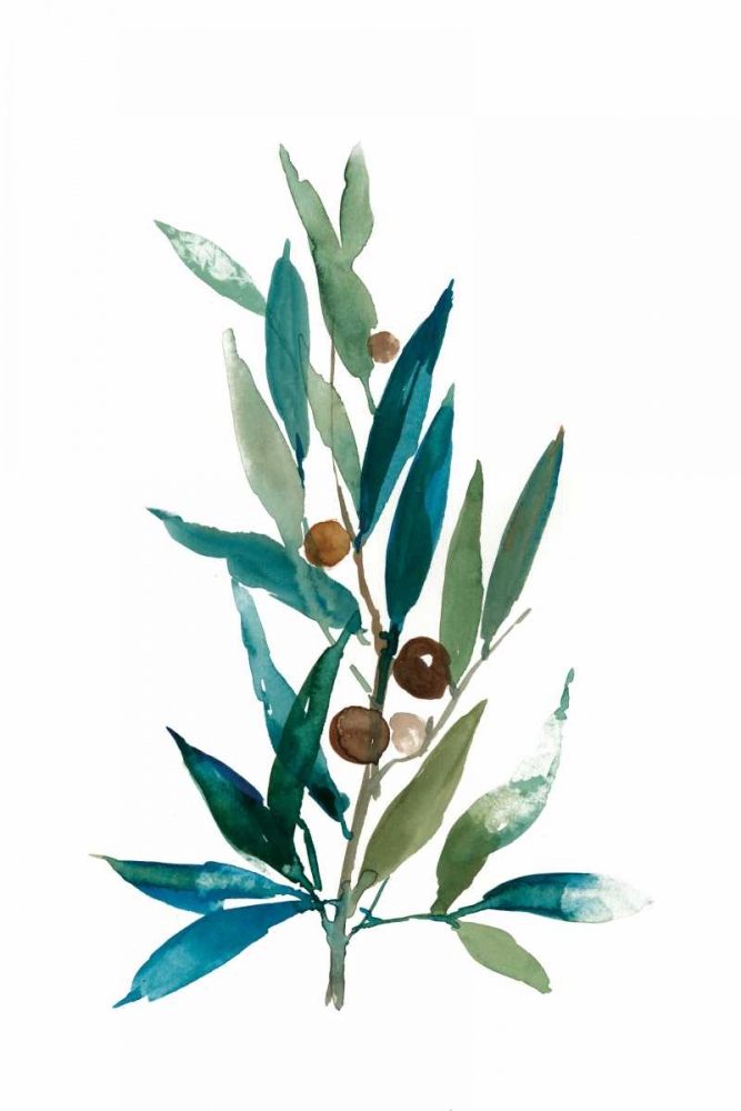 Olive Branch I art print by Asia Jensen for $57.95 CAD
