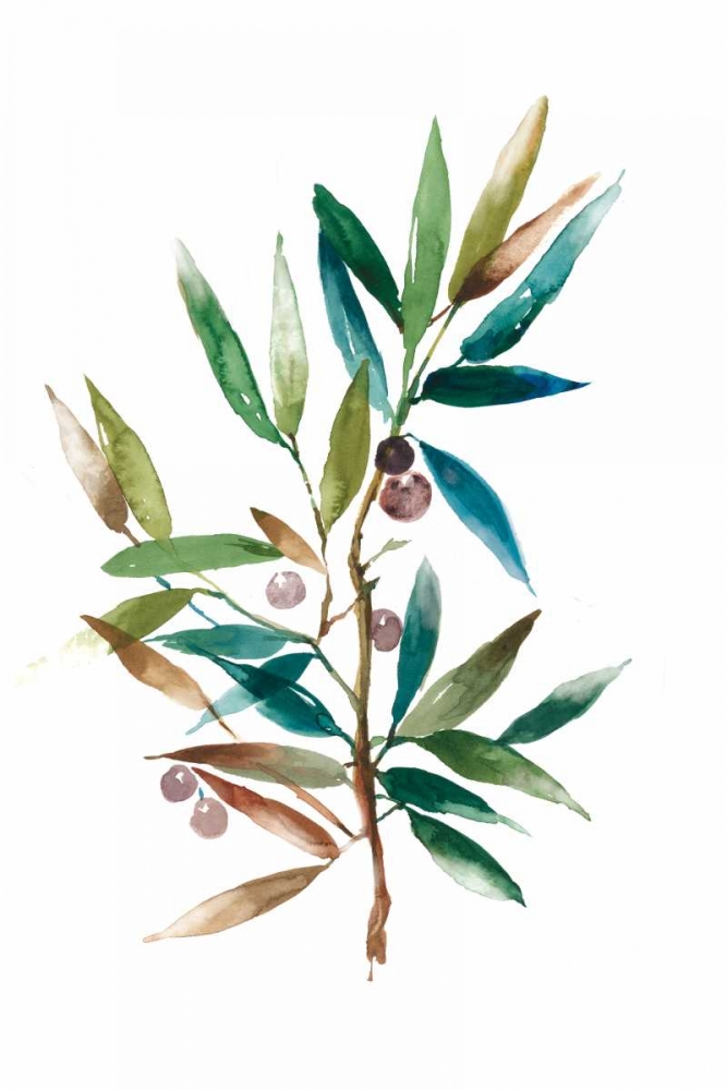 Olive Branch II art print by Asia Jensen for $57.95 CAD