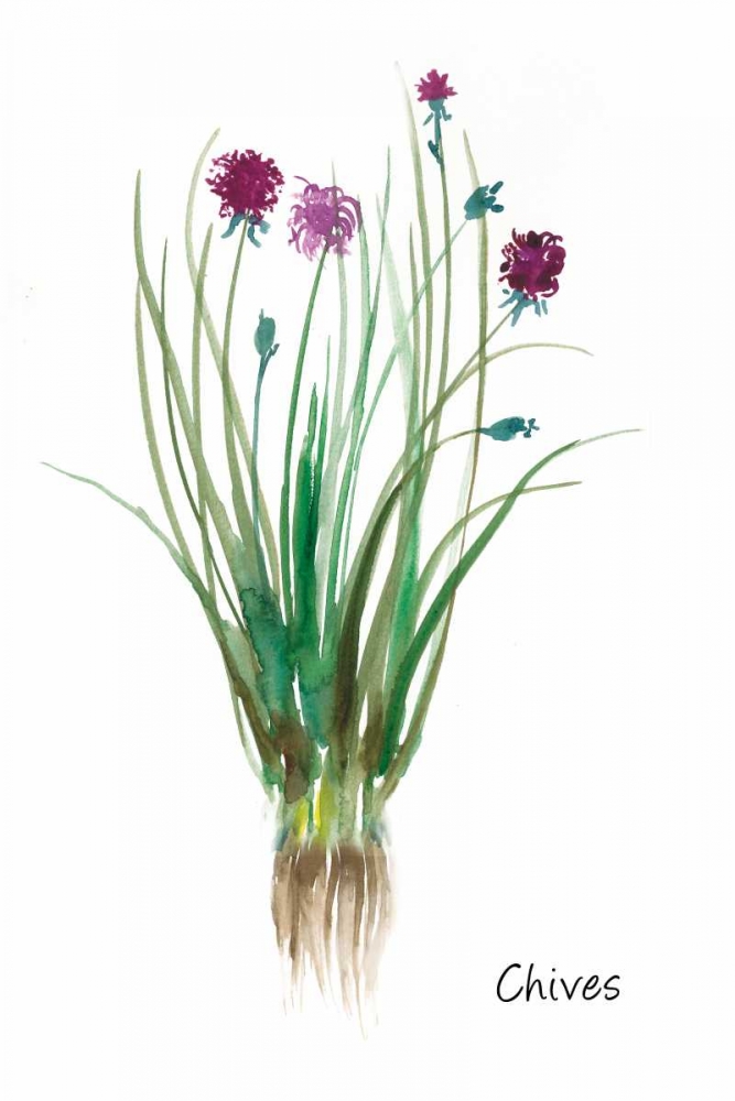 Chives art print by Asia Jensen for $57.95 CAD