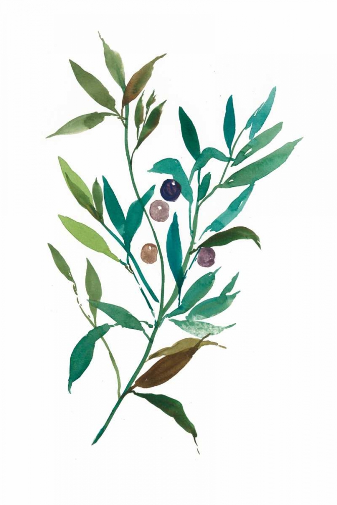 Olive I art print by Asia Jensen for $57.95 CAD
