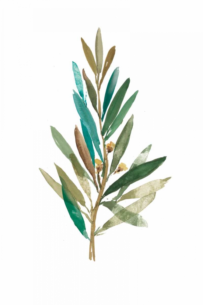 Olive III art print by Asia Jensen for $57.95 CAD