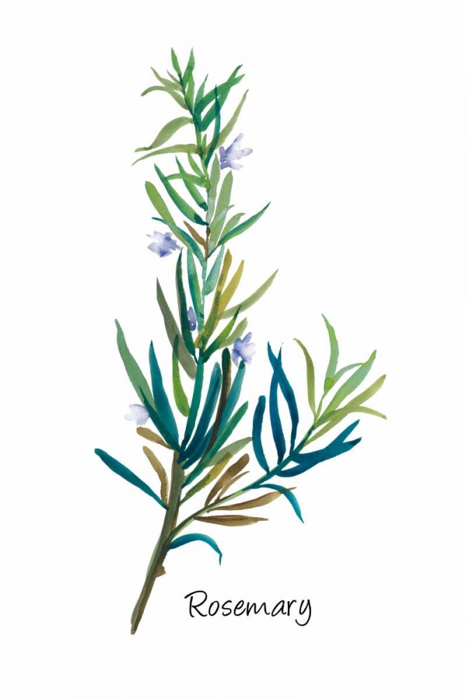 Rosemary I art print by Asia Jensen for $57.95 CAD