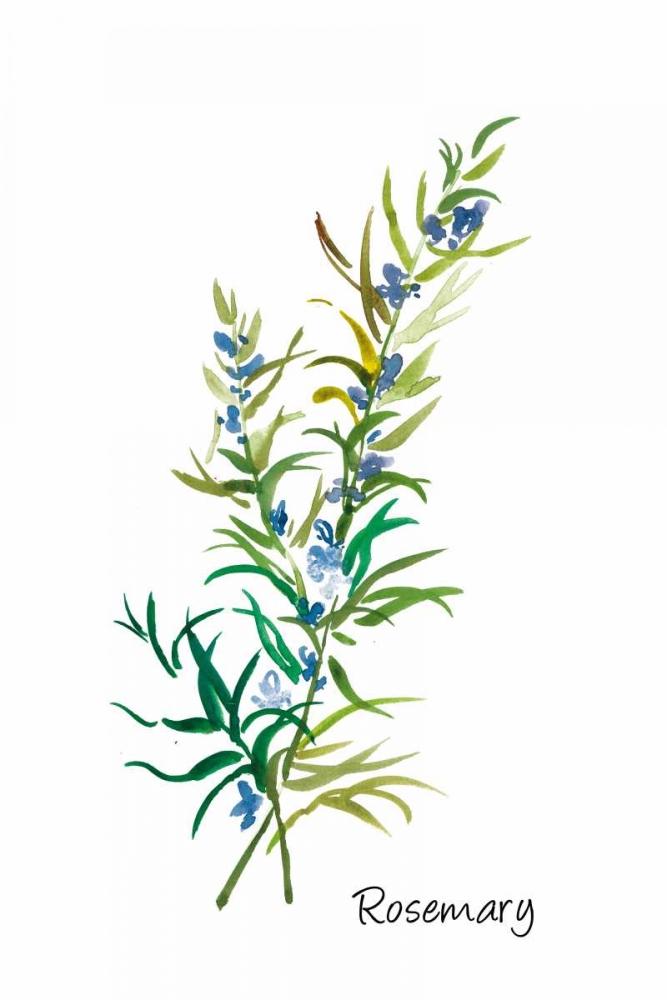 Rosemary II art print by Asia Jensen for $57.95 CAD