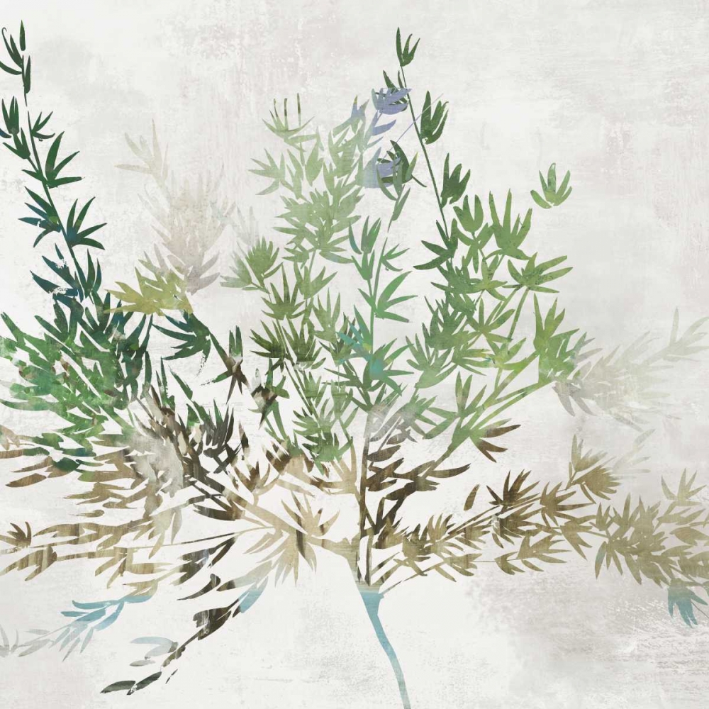 Olive Branch art print by Asia Jensen for $57.95 CAD