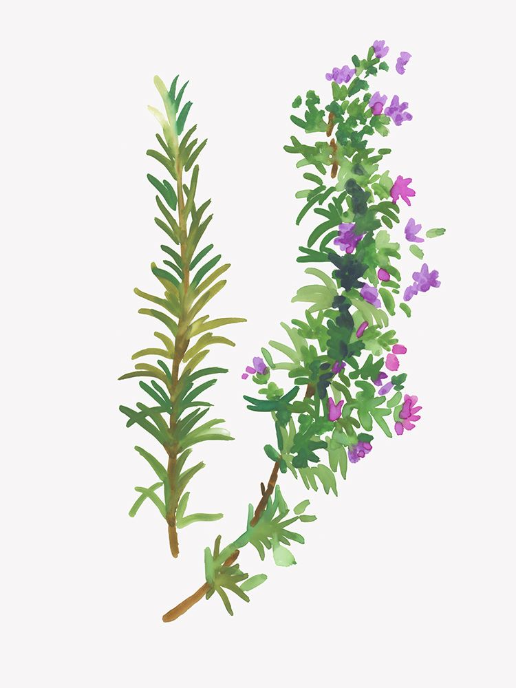 Wild Rosemary art print by Asia Jensen for $57.95 CAD