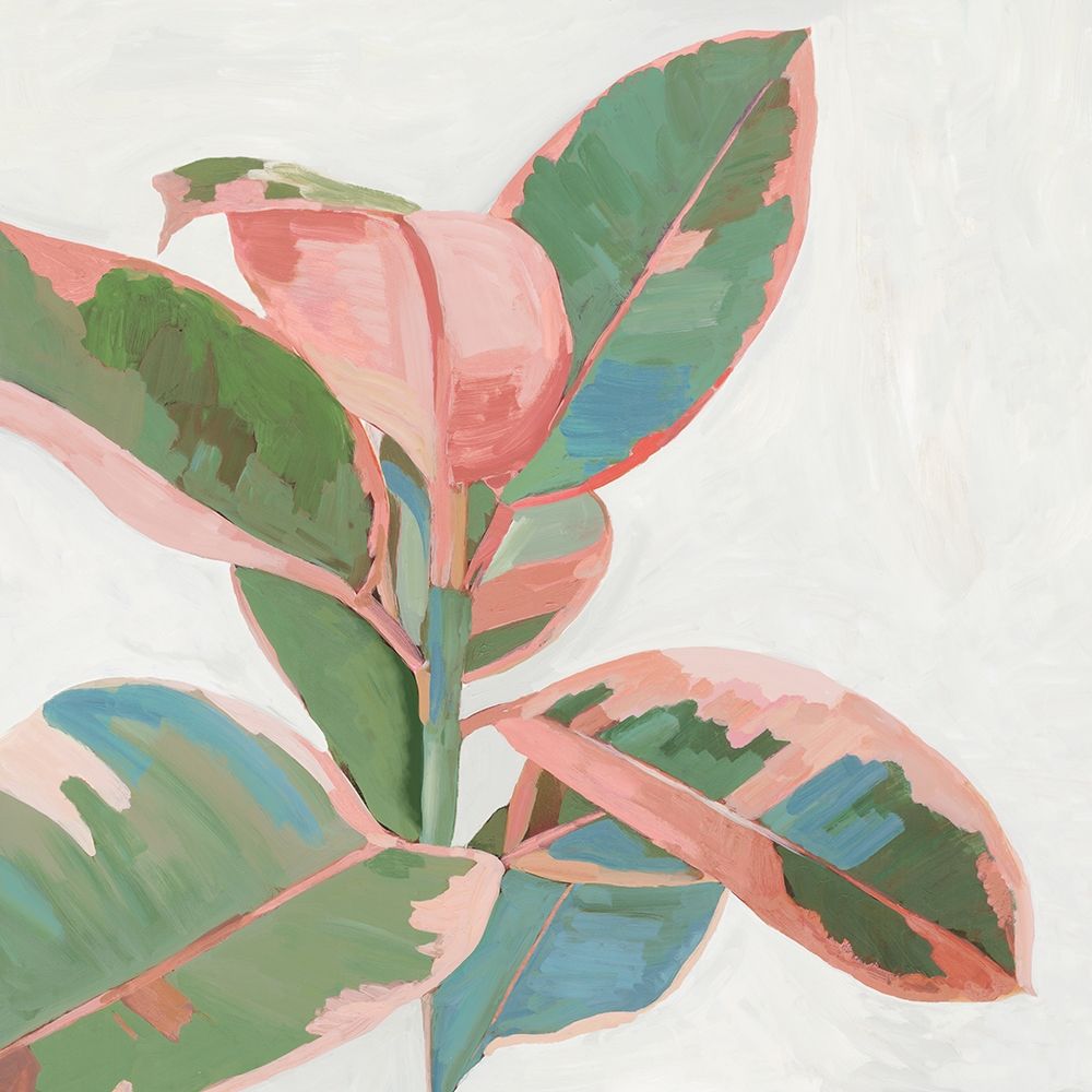Pink Ficus I art print by Asia Jensen for $57.95 CAD