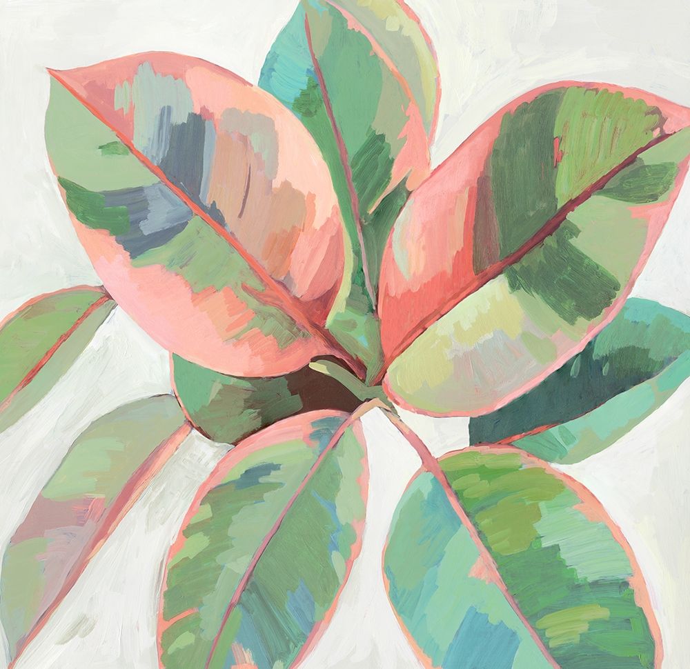 Pink Ficus II art print by Asia Jensen for $57.95 CAD