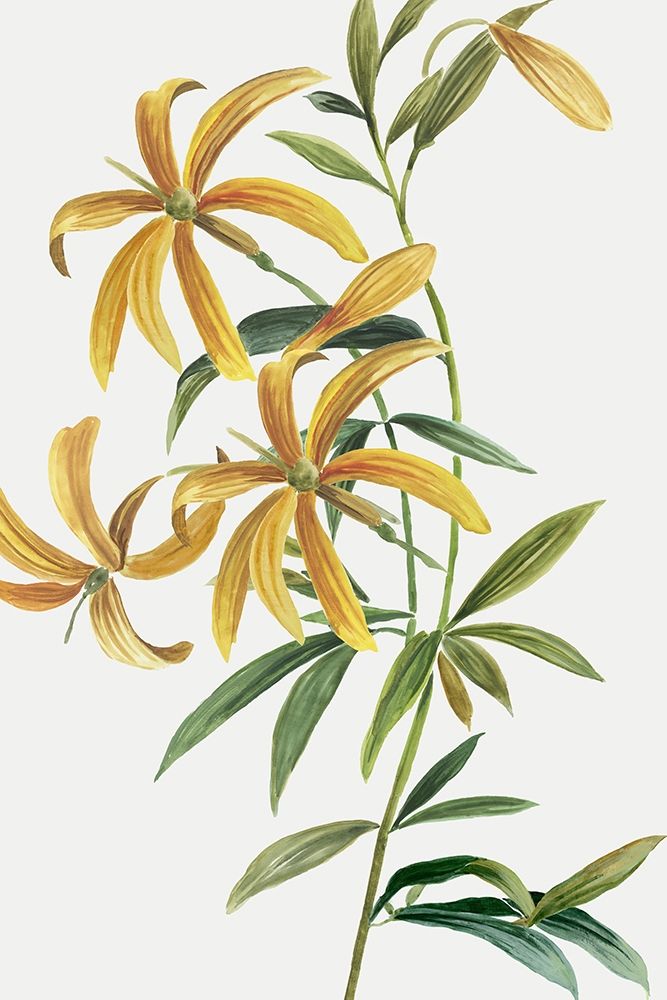 Yellow Tropical Flowers II art print by Asia Jensen for $57.95 CAD