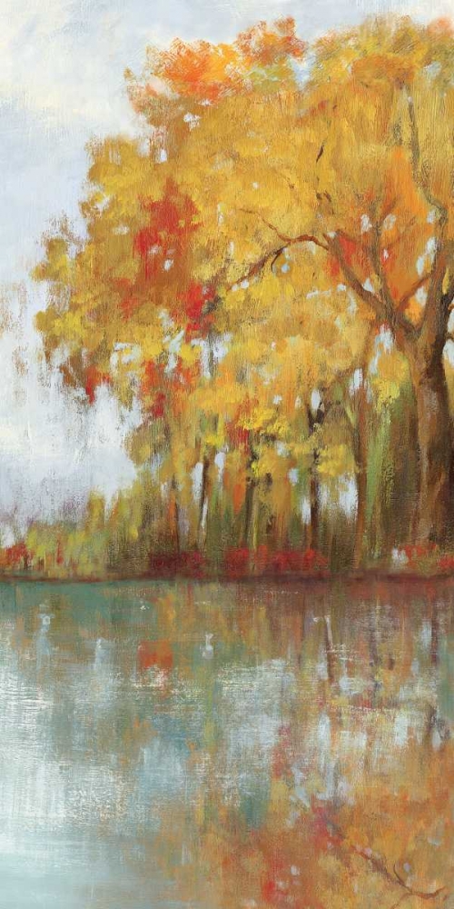 Forest Reflection I art print by Asia Jensen for $57.95 CAD