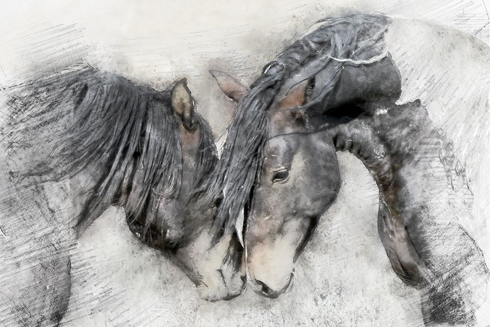 Equine Friendship art print by Kim Curinga for $57.95 CAD