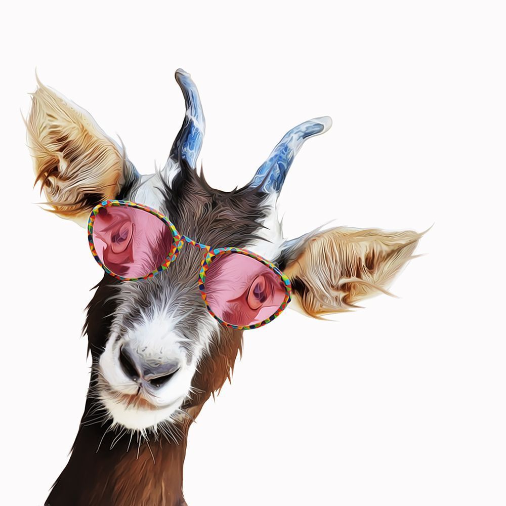 Goofy GoatÂ  art print by Kim Curinga for $57.95 CAD
