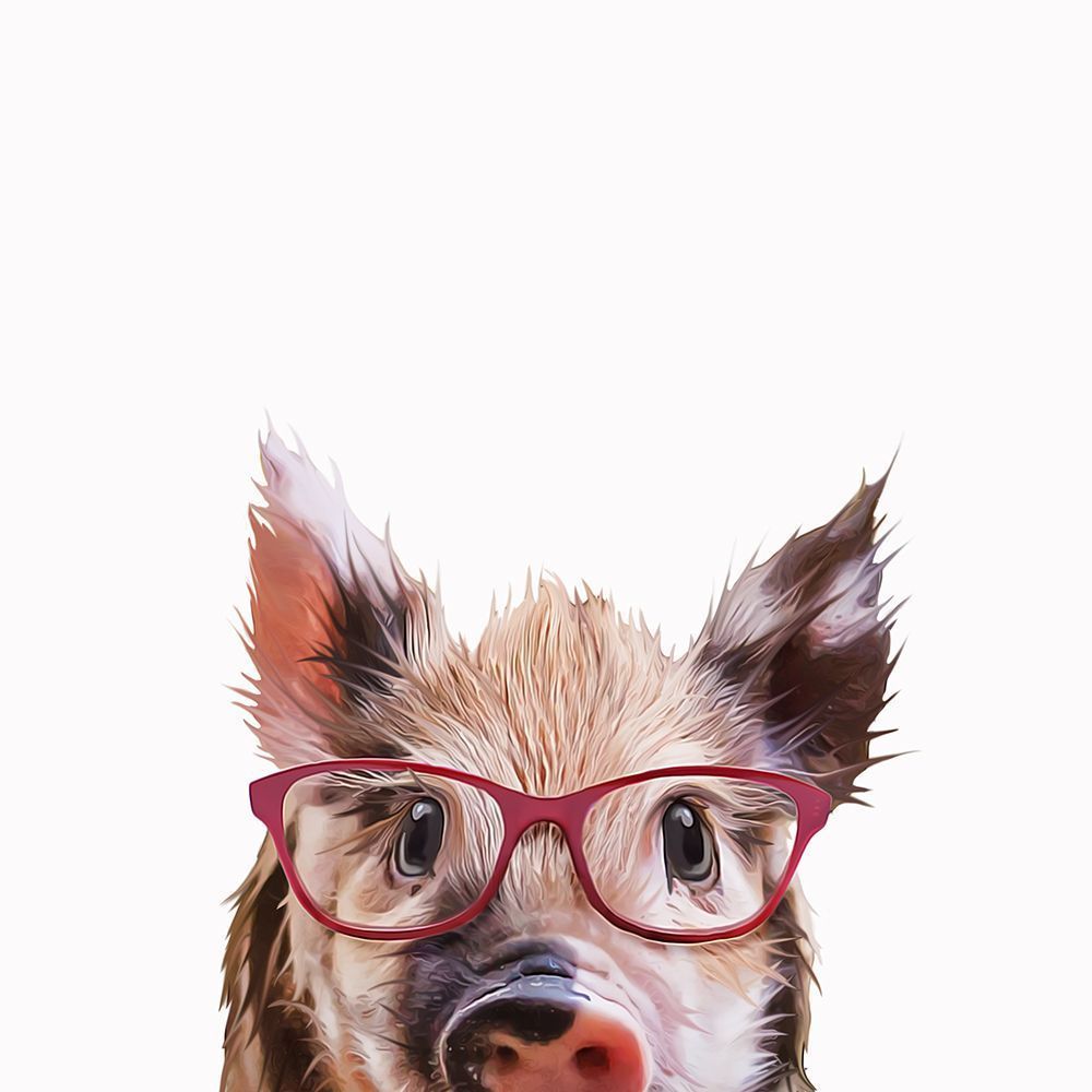 Peekaboo Pig  art print by Kim Curinga for $57.95 CAD