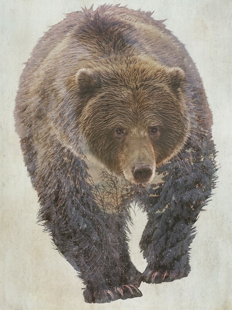 Brown Bear Walking art print by Kim Curinga for $57.95 CAD