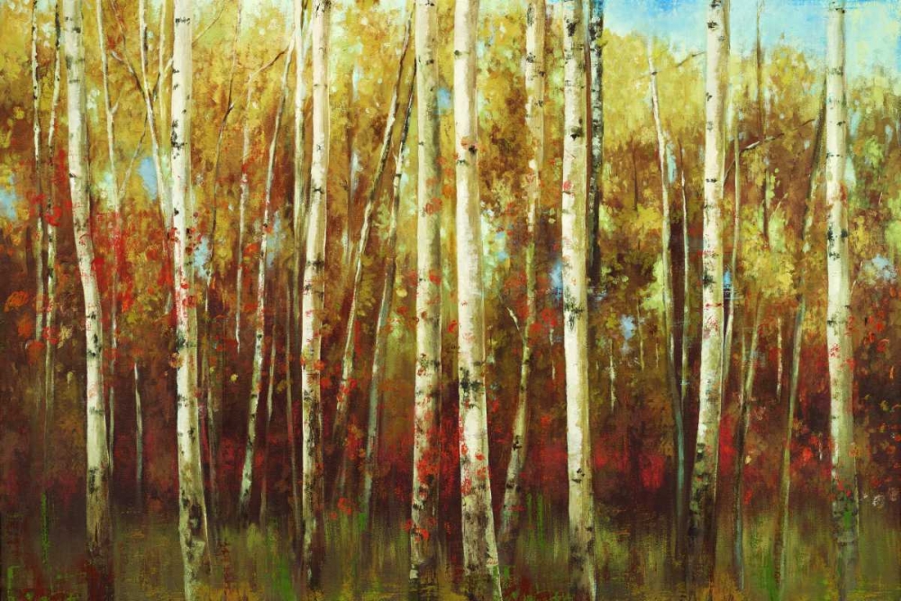 Birch Forest art print by Ella K. for $57.95 CAD