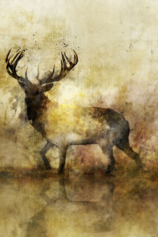 Calm Deer II art print by Ken Roko for $57.95 CAD