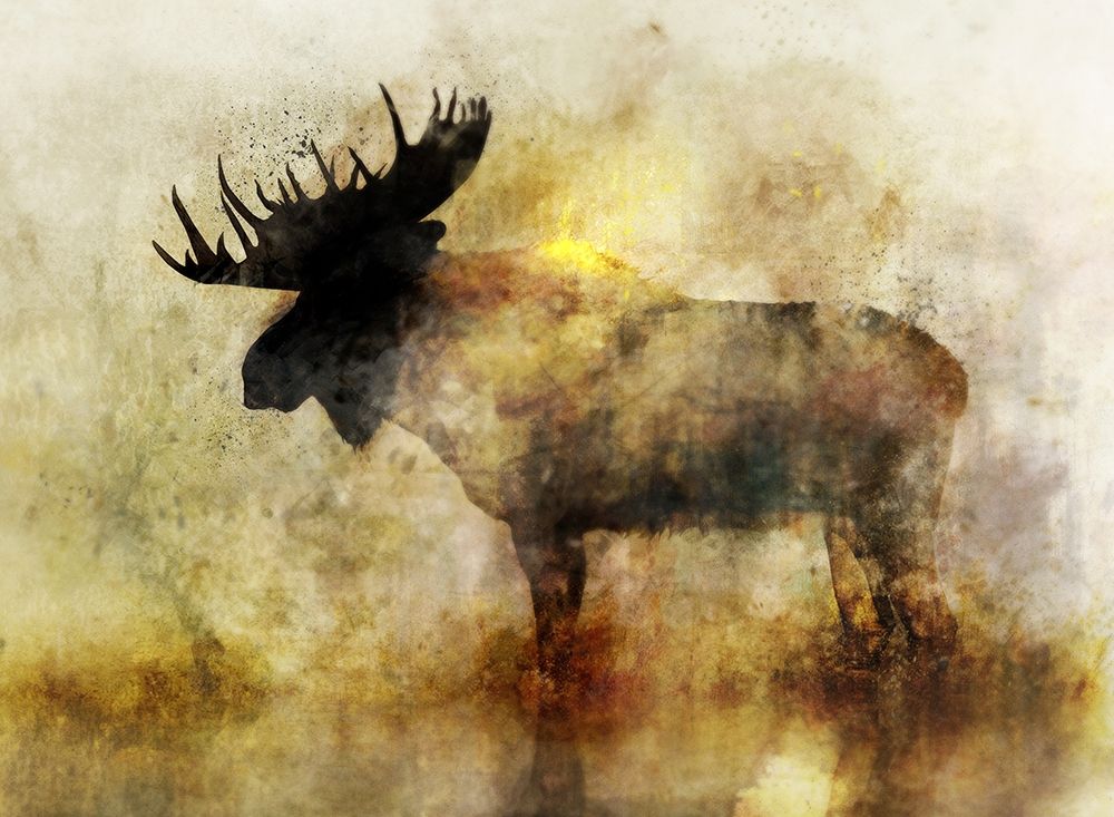 Happy Moose II art print by Ken Roko for $57.95 CAD