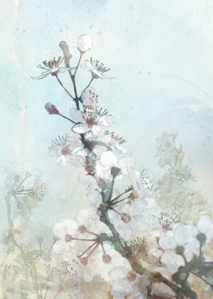 Climbing Cherry Blossoms I  art print by Ken Roko for $57.95 CAD