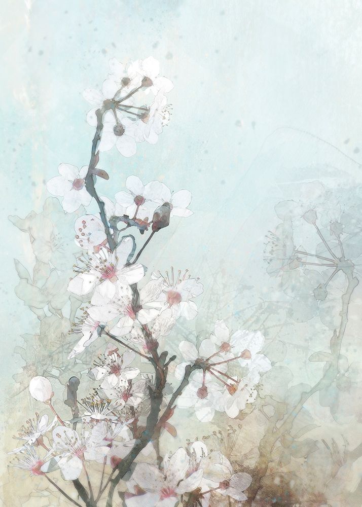Climbing Cherry Blossoms II  art print by Ken Roko for $57.95 CAD