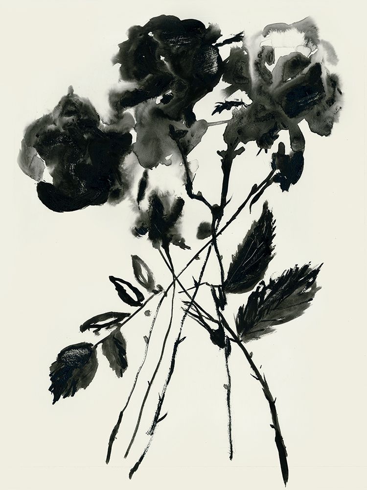 Black Flora art print by Maya Woods for $57.95 CAD