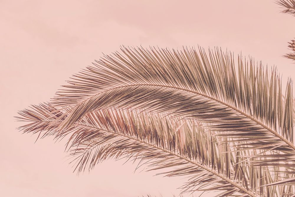 Portugal Travel Impression Blush Palm  art print by Andrea Haase for $57.95 CAD