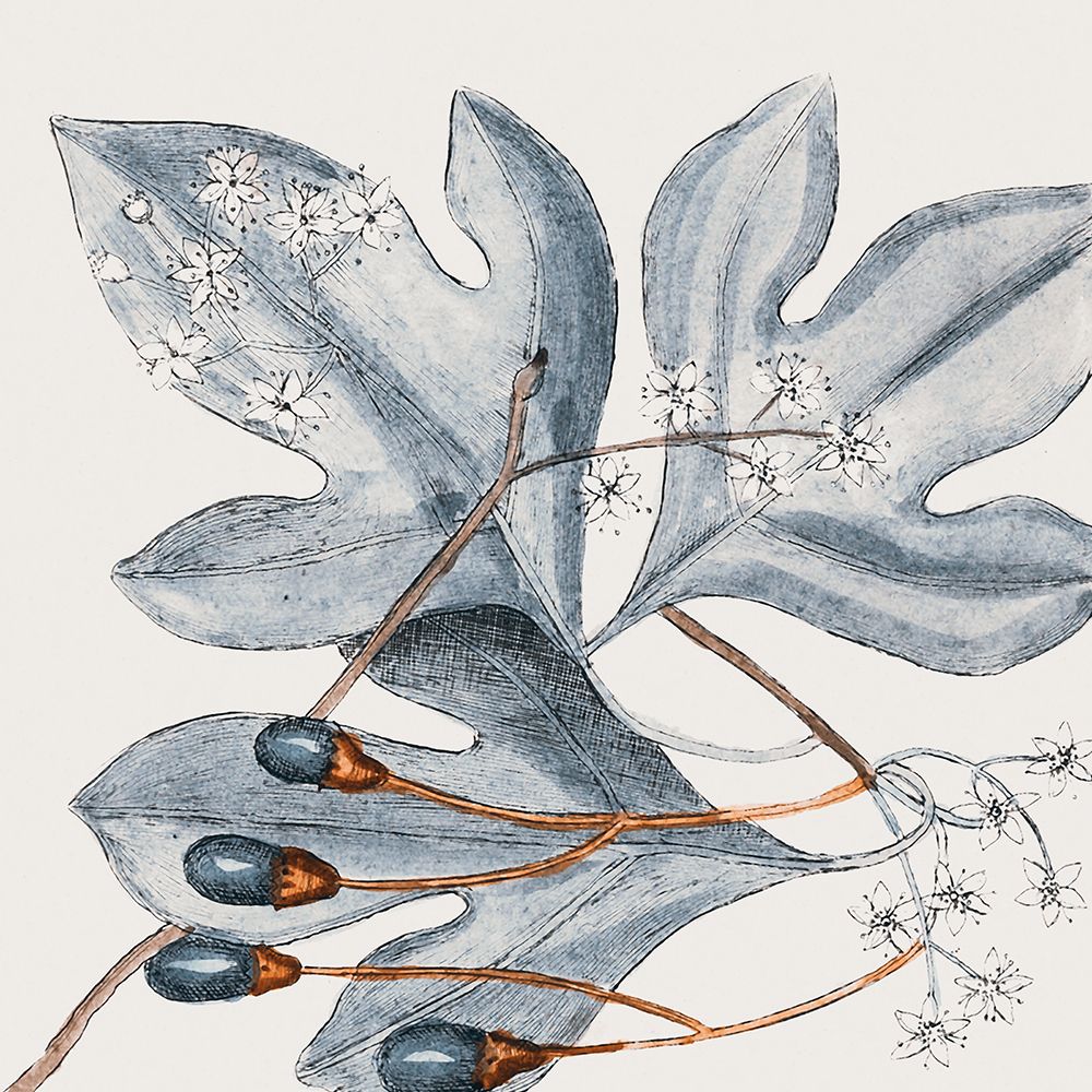 Vintage Blue Botanical II art print by Andrea Haase for $57.95 CAD