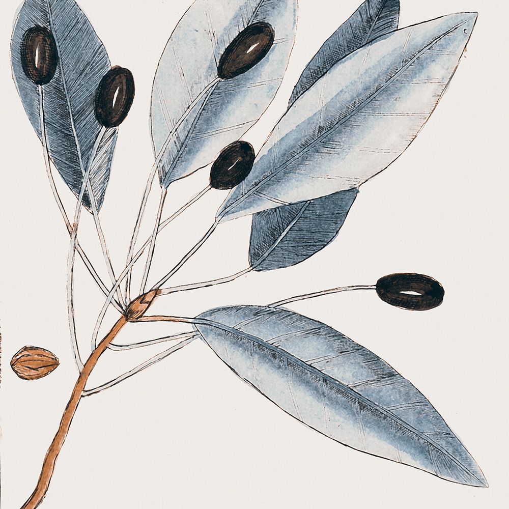Vintage Blue Botanical III art print by Andrea Haase for $57.95 CAD
