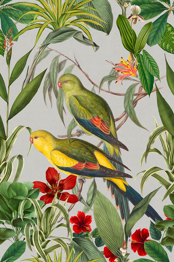 Parakeets Tropical Garden  II art print by Andrea Haase for $57.95 CAD