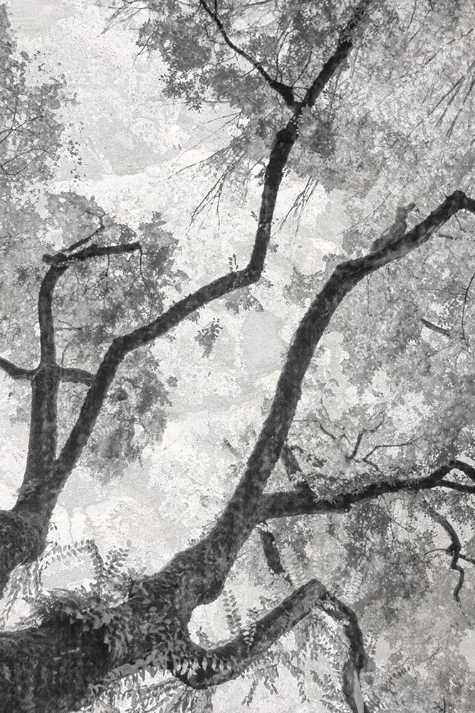 Gloomy Branches art print by Norm Stelfox for $57.95 CAD
