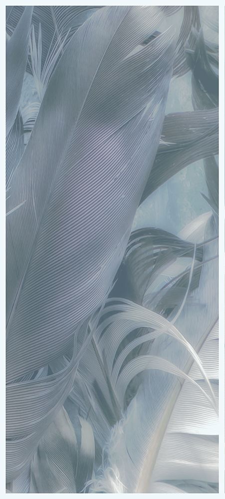 Light Blue Feathers III art print by Norm Stelfox for $57.95 CAD