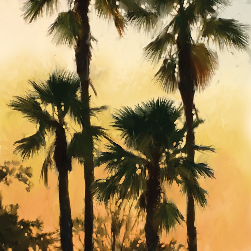 Morning Palm Tree I art print by Rick Novak for $57.95 CAD