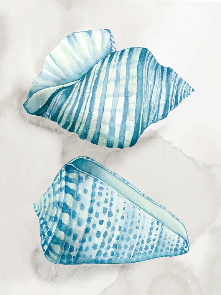 Two Soft Blue Shells art print by Eli Jones for $57.95 CAD