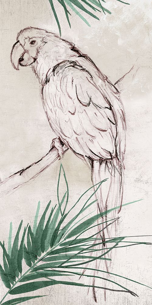 Bird Study II art print by Eli Jones for $57.95 CAD