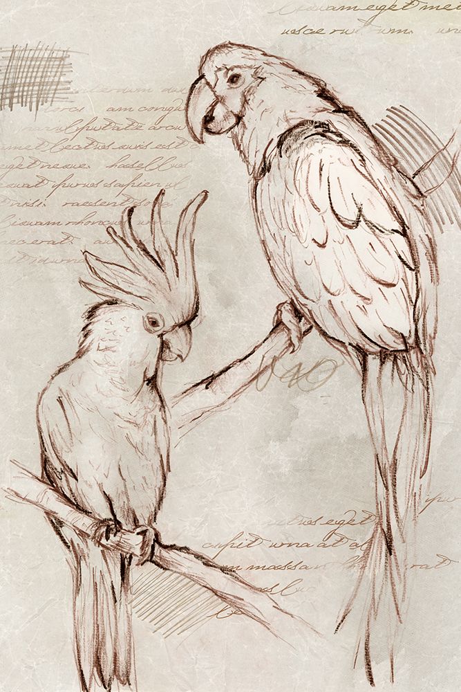 Sketched Birds art print by Eli Jones for $57.95 CAD